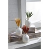 Mud Pie Preserved Wheat in Vase, Red