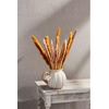 Mud Pie White Pumpkin Pitcher; 73 oz