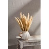 Mud Pie White Pumpkin Pitcher; 73 oz